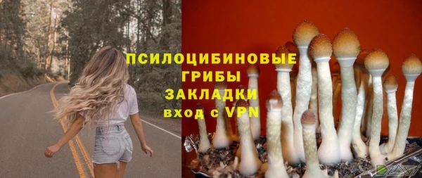 скорость Баксан