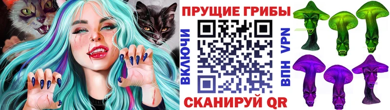 Галлюциногенные грибы Psilocybe  ссылка на мегу ссылки  Тула 